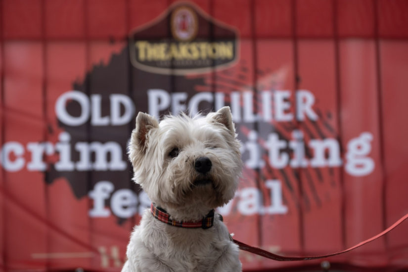 Dog outside the Theakstons Crime banner
