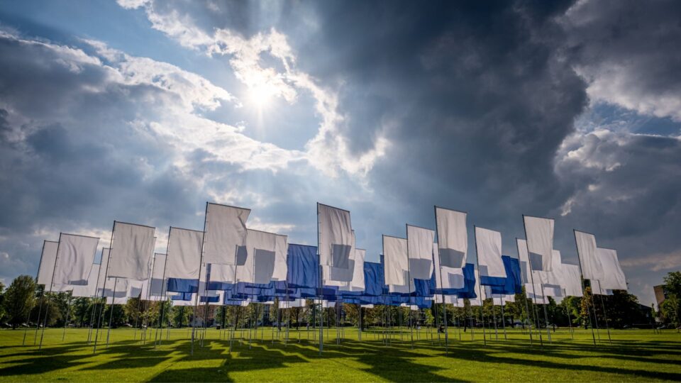In Memoriam on the Stray with white and blue flags.