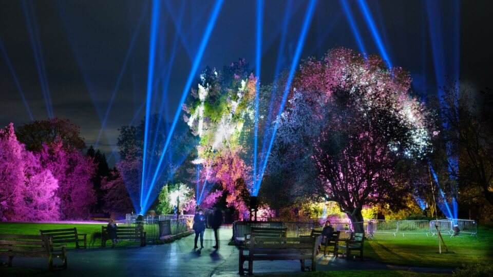 People stood outside and sat on benches in the gardens enjoying the blue and pink beams of light amongst the trees.